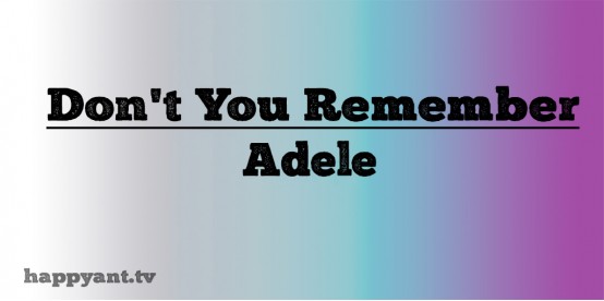 Don't You Remember - Adele (Lyrics)