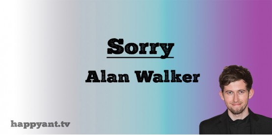 Somebody Like You - Sorry (Lyrics) Somebody Like You - Sorry (Lyrics)