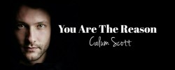 Calum Scott_You Are The Reason (with translation)