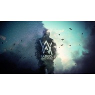 Alan Walker_Faded (with translation) / Free