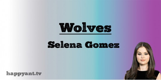 Wolves - Selena Gomez (Lyrics)