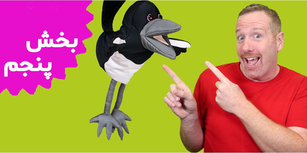 Steve and Maggie (Volume 5)